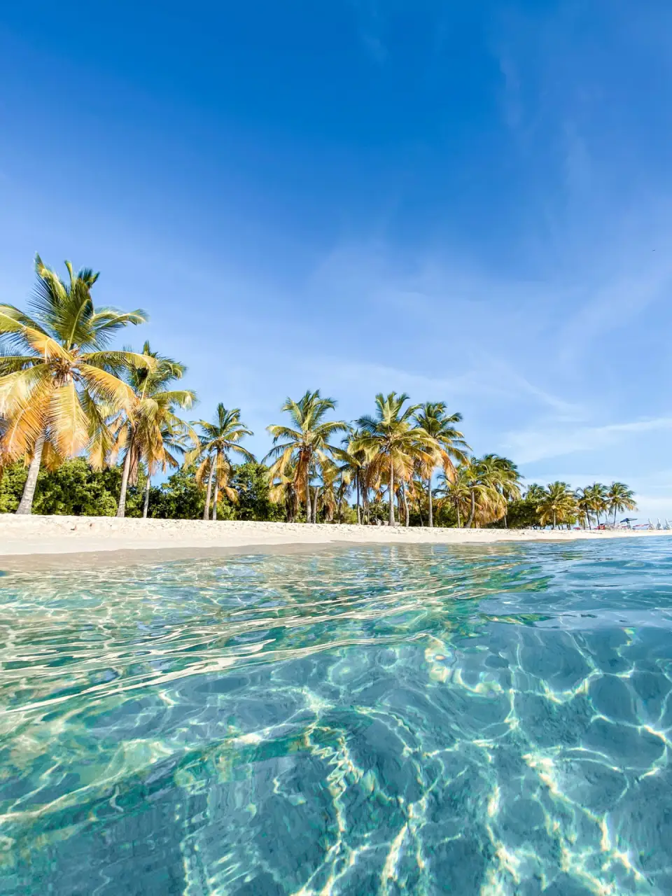 Crystal-clear lagoon water in front of a palm-fringed white-sand island
