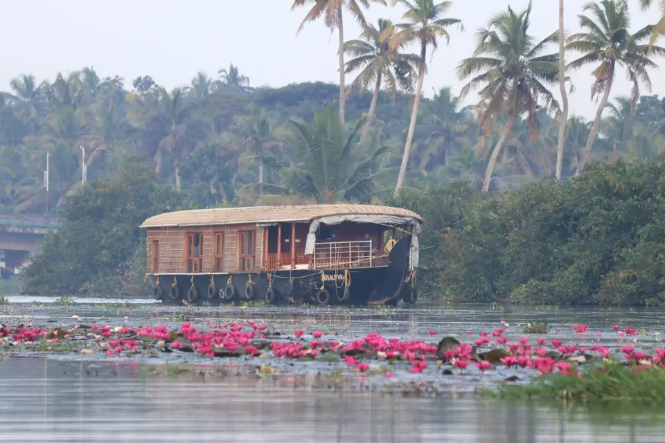 A houseboat drifting past water lilies on the Kerala backwaters