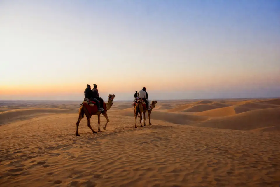 Camels crossing the Sam sand dunes near Jaisalmer at dusk
